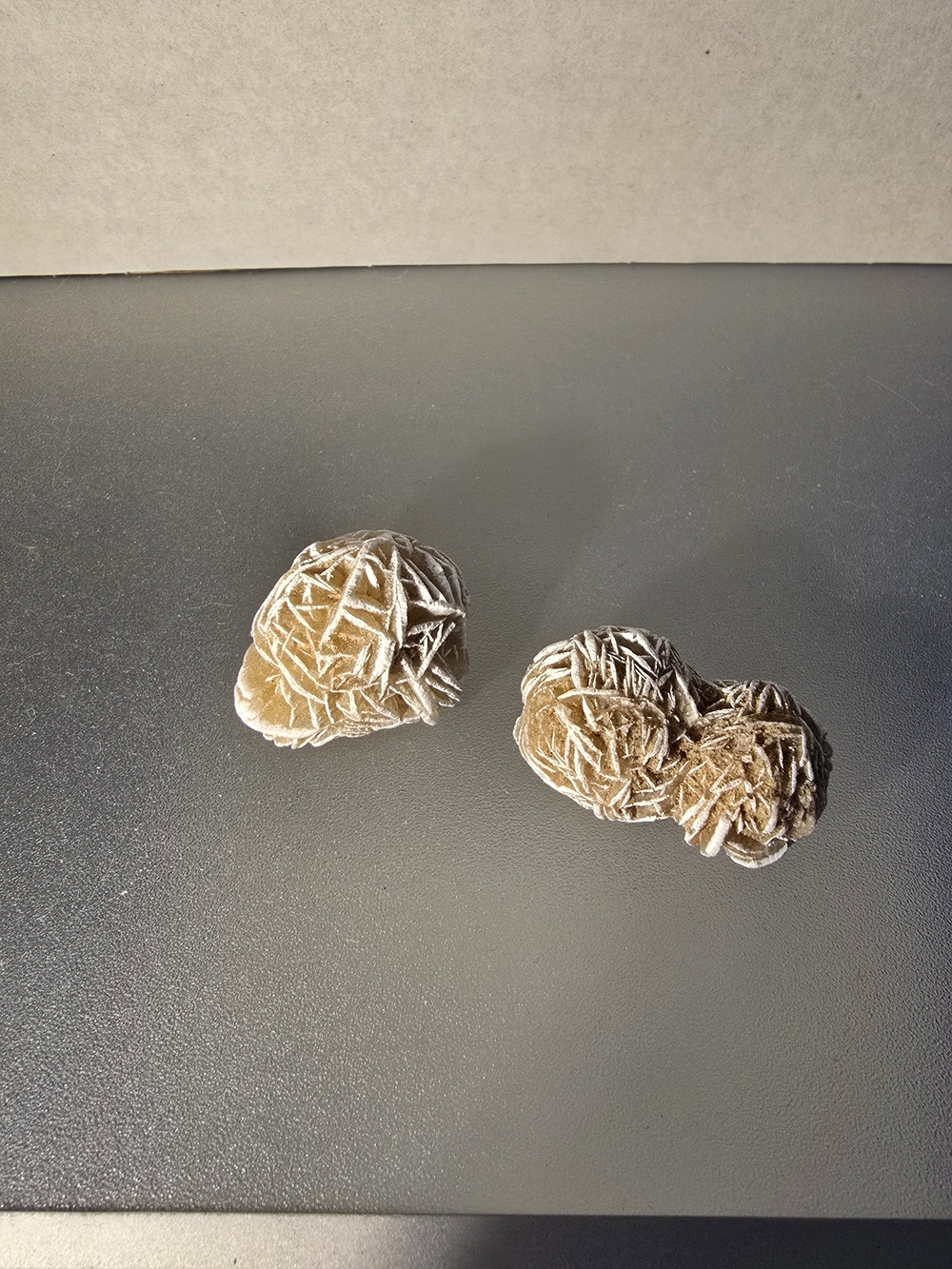 Natural Desert Rose Selenite